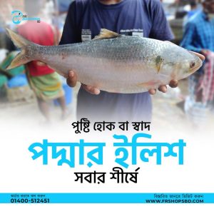 নদীর - লোকাল -ইলিশ