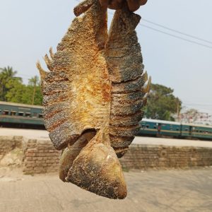 অর্গাণিক শুটকী