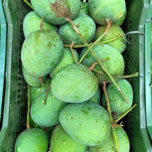 কড়া মিষ্টি হিমসাগর আমে